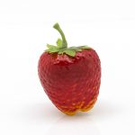 frut copia